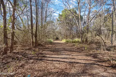 83 Fripp Point Road, Saint Helena Island, SC 29920 - Photo 5