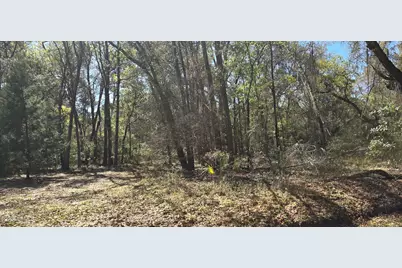 50 Toomer Road, Saint Helena Island, SC 29920 - Photo 1