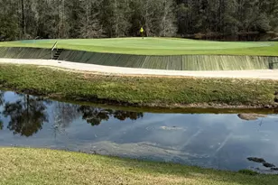 215 Jack Crevalle Wy, Bluffton, SC 29909 - Photo 25