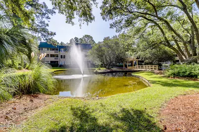 239 Beach City Road #1317, Hilton Head Island, SC 29926 - Photo 21