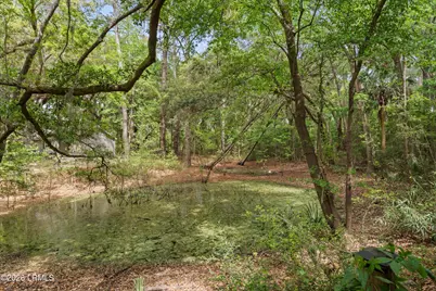 56 Brindlewood Drive, Beaufort, SC 29907 - Photo 33