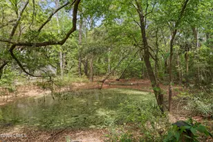 56 Brindlewood Dr, Beaufort, SC 29907 - Photo 33