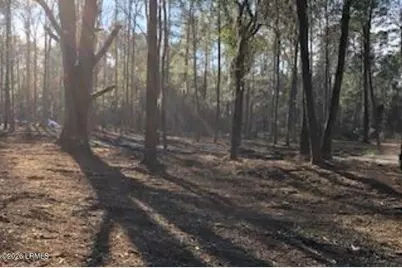 52 Arbor Victory Road, Beaufort, SC 29907 - Photo 11