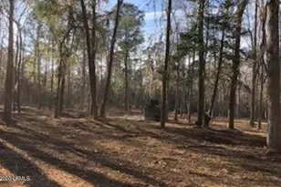 52 Arbor Victory Rd, Beaufort, SC 29907 - Photo 1