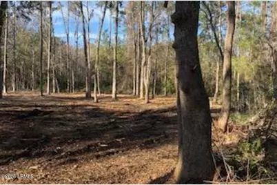 52 Arbor Victory Road, Beaufort, SC 29907 - Photo 9