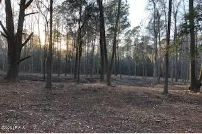 52 Arbor Victory Road, Beaufort, SC 29907 - Photo 13