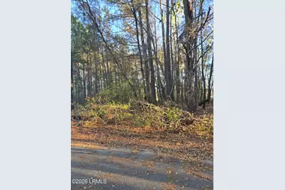 Lot 12 Freeman Street, Brunson, SC 29911 - Photo 5