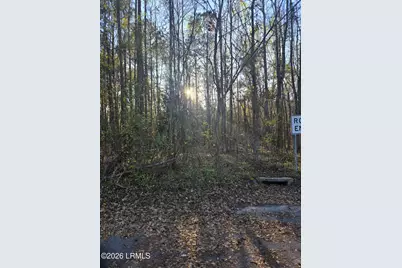 Lot 12 Freeman Street, Brunson, SC 29911 - Photo 7