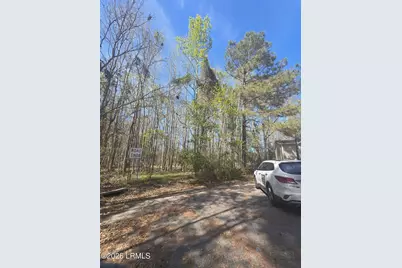 Lot 5 Freeman Street, Hampton, SC 29924 - Photo 7