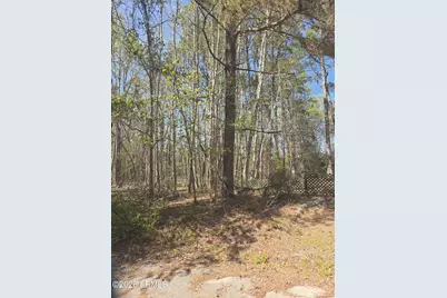 Lot 5 Freeman Street, Hampton, SC 29924 - Photo 1