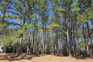 92 Wicklow Dr, Bluffton, SC 29910 - Photo 1