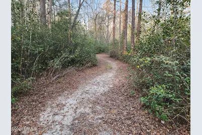 1504 Lowndes Lake Road, Varnville, SC 29944 - Photo 35