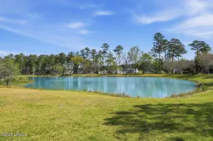 276 Persimmon Cir, Hardeeville, SC 29927 - Photo 59