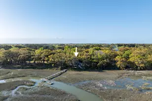 74 Blazing Star Ln, Saint Helena Island, SC 29920 - Photo 43