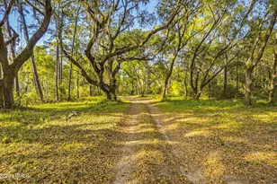 74 Blazing Star Ln, Saint Helena Island, SC 29920 - Photo 41