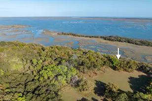 74 Blazing Star Ln, Saint Helena Island, SC 29920 - Photo 47