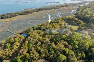 74 Blazing Star Ln, Saint Helena Island, SC 29920 - Photo 49