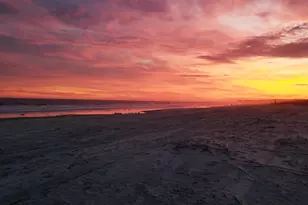 43 S Forest Beach Dr, Hilton Head Island, SC 29928 - Photo 5