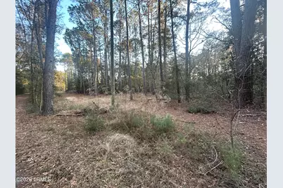 Tbd Harris Lane, Saint Helena Island, SC 29920 - Photo 1