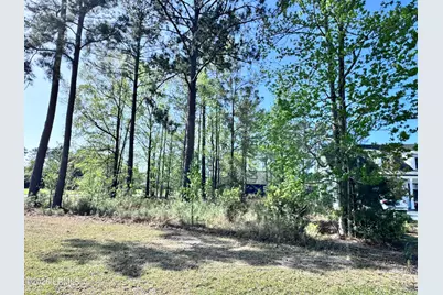 31 Full Sweep W, Hardeeville, SC 29927 - Photo 3