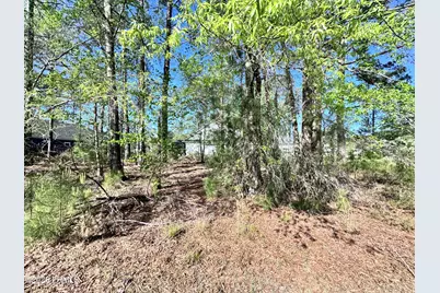 31 Full Sweep W, Hardeeville, SC 29927 - Photo 5