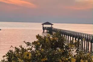 29 Bay Point Rd, Saint Helena Island, SC 29920 - Photo 29