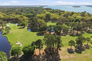 21 McIntosh Rd, Hilton Head Island, SC 29926 - Photo 49