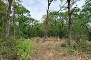 0 Meredith Rd, Ridgeland, SC 29936 - Photo 1