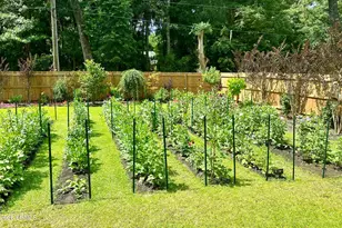 33 White Heron Dr, Beaufort, SC 29907 - Photo 47