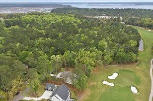 54 Osprey Cir, Okatie, SC 29909 - Photo 61