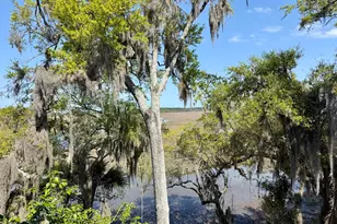 2201 Boundary St, Beaufort, SC 29902 - Photo 15