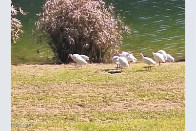 91 Front Street, Saint Helena Island, SC 29920 - Photo 57