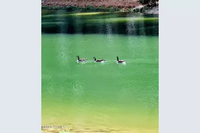 91 Front Street, Saint Helena Island, SC 29920 - Photo 59