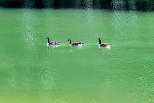 91 Front St, Saint Helena Island, SC 29920 - Photo 59