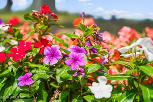 1700 Lafayette St, Beaufort, SC 29902 - Photo 55