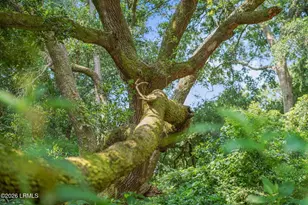 1700 Lafayette St, Beaufort, SC 29902 - Photo 37