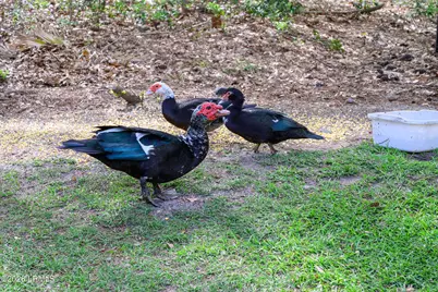 6 Peytons Way, Beaufort, SC 29907 - Photo 49