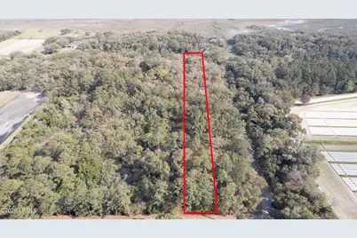 00 Molly Hill Road, Saint Helena Island, SC 29920 - Photo 3