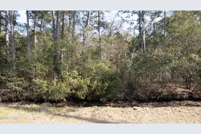 00 Molly Hill Road, Saint Helena Island, SC 29920 - Photo 11