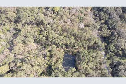 00 Molly Hill Road, Saint Helena Island, SC 29920 - Photo 13
