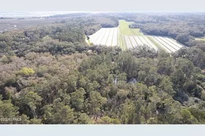 00 Molly Hill Road, Saint Helena Island, SC 29920 - Photo 7