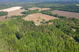 2672 Big Fork Rd, Barnwell, SC 29812 - Photo 41