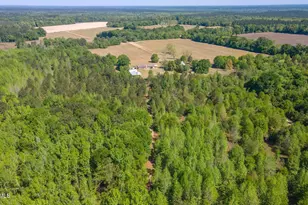 2672 Big Fork Rd, Barnwell, SC 29812 - Photo 37