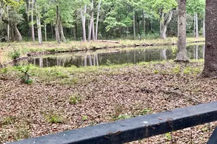 7 Canopy Ln, Saint Helena Island, SC 29920 - Photo 29