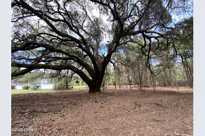 33 Pearl Harbor Lane, Saint Helena Island, SC 29920 - Photo 1
