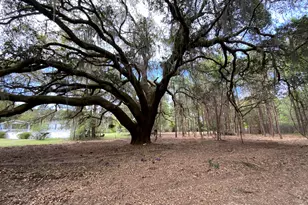 33 Pearl Harbor Ln, Saint Helena Island, SC 29920 - Photo 1