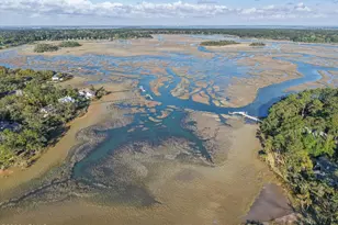 2 Shellfish Ln, Okatie, SC 29909 - Photo 37