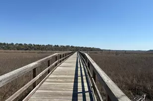 852 Settings Dr E, Yemassee, SC 29945 - Photo 65