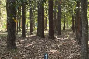 421 Battery Chase, Beaufort, SC 29902 - Photo 1