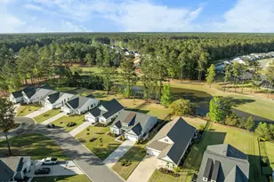 168 Crepe Myrtle Ln, Hardeeville, SC 29927 - Photo 5